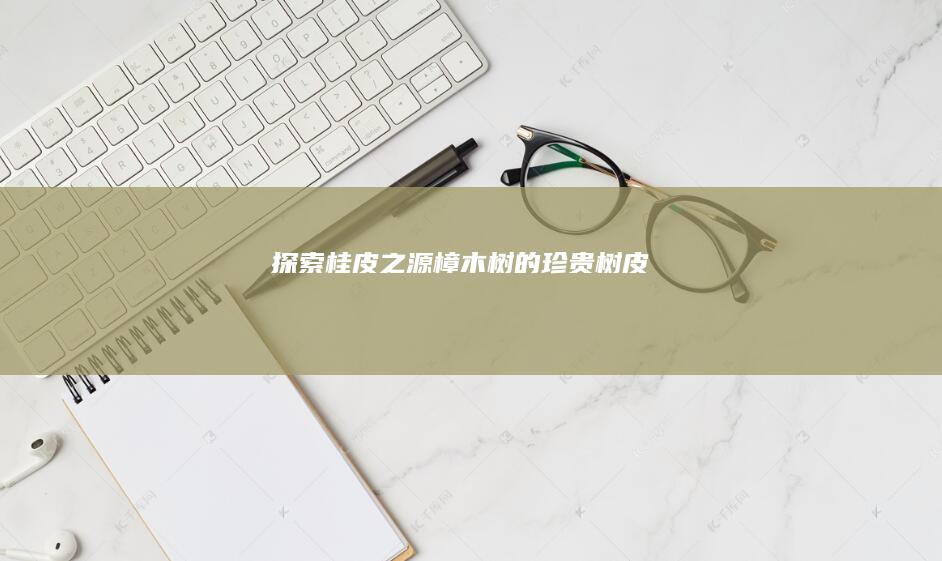 探索桂皮之源：樟木树的珍贵树皮